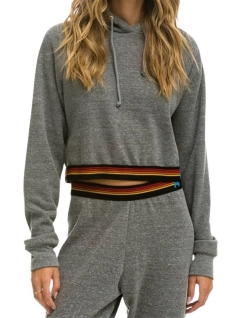 Aviator Nation Gray Cropped Hoodie with Multicolor Striped Waistband